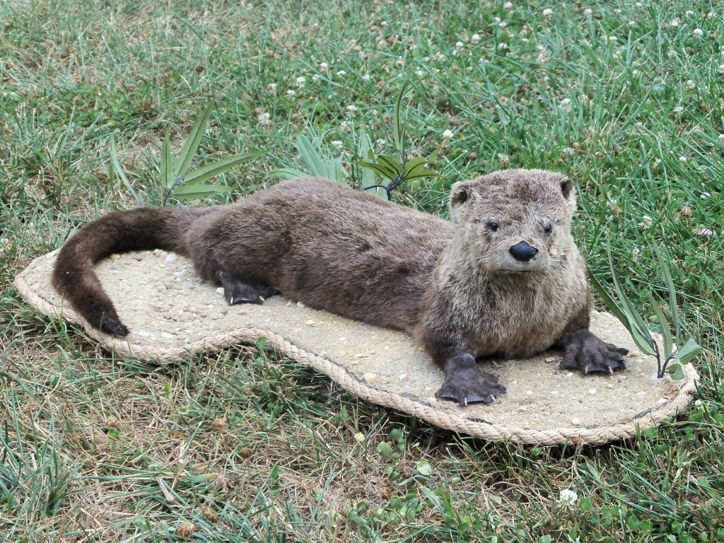 Otter